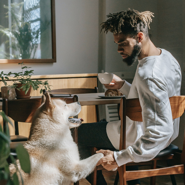 Five Ways to Improve Your Credit Score Before Buying a House