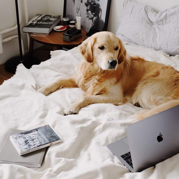 Five Mortgage Interest Rate Factors You Control